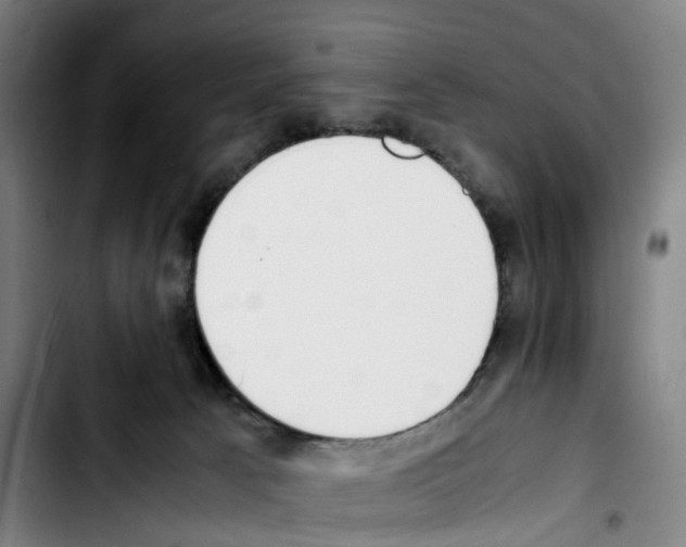 X0000103450033200810241155