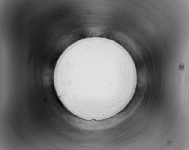 X0000103450034200810241155