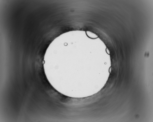 X0000103450037200810241155