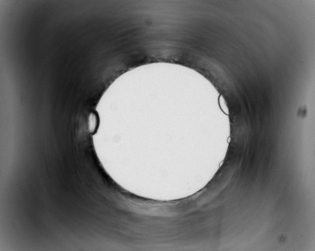 X0000103450040200810241155