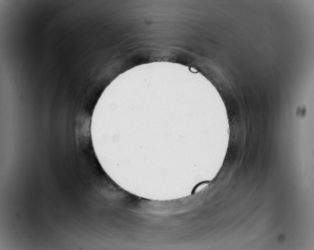 X0000103450041200810241155