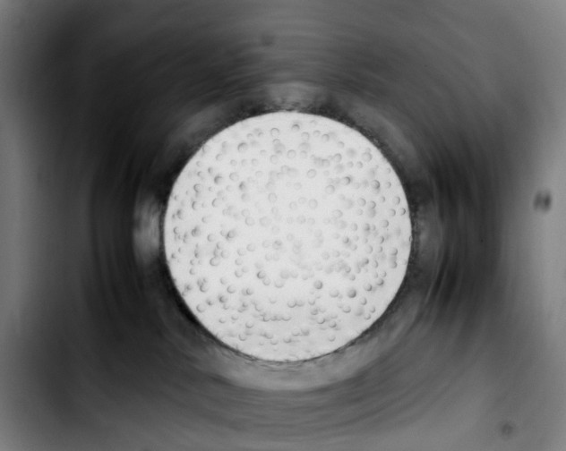 X0000103450042200810241155