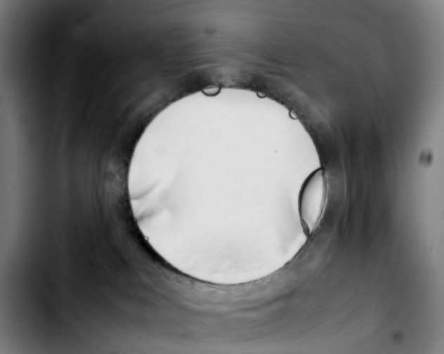 X0000103450043200810241155