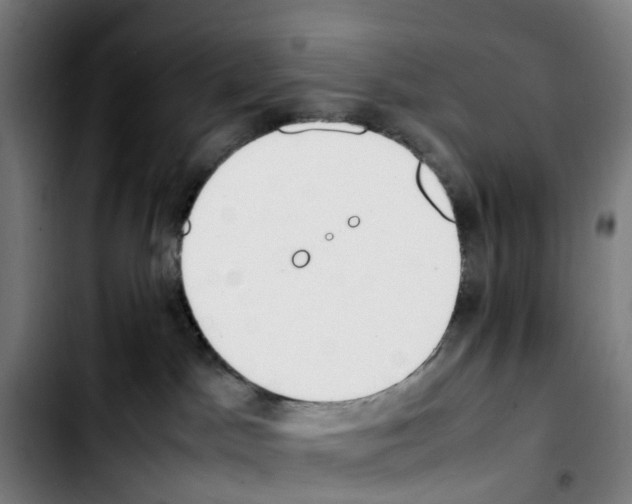 X0000103450045200810241155