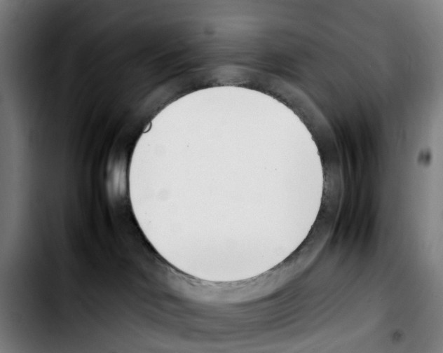 X0000103450046200810241155