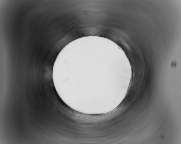 X0000103450048200810241155