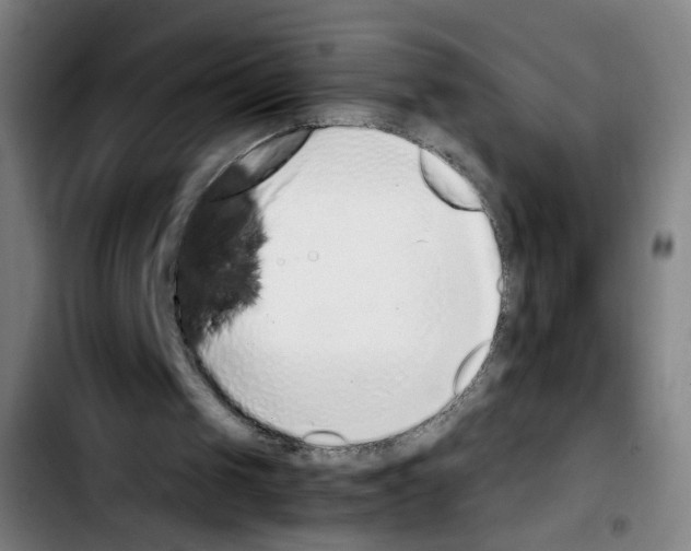 X0000103450049200810241154