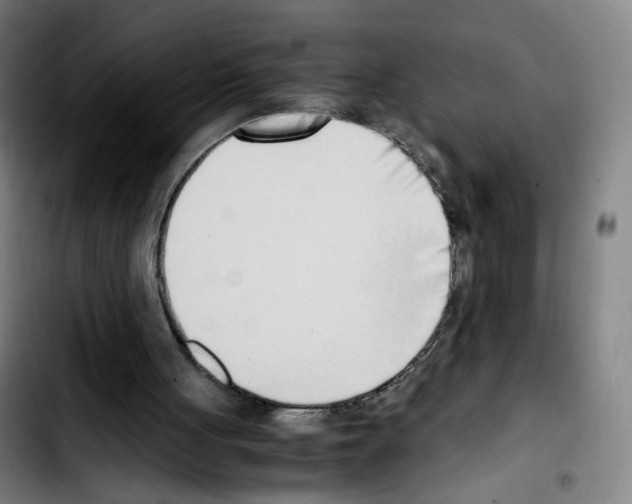 X0000103450051200810241154