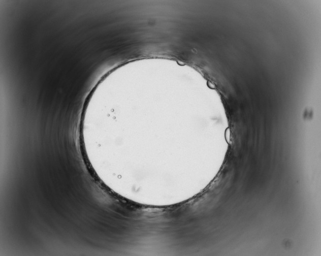 X0000103450052200810241154