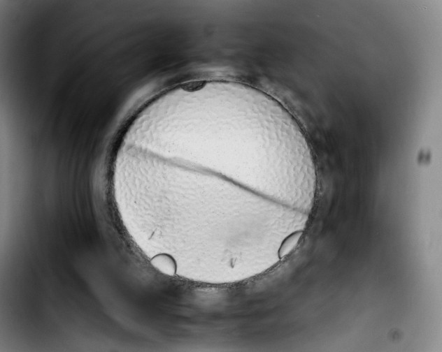 X0000103450053200810241154