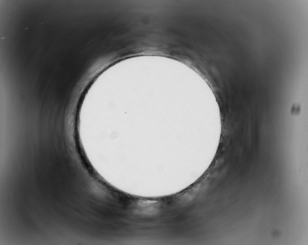 X0000103450055200810241154