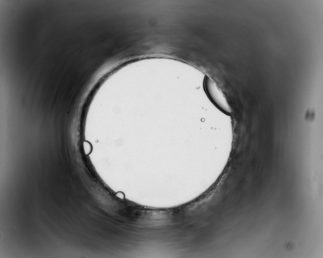 X0000103450056200810241154