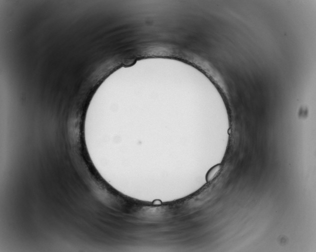 X0000103450057200810241154