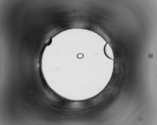 X0000103450059200810241154