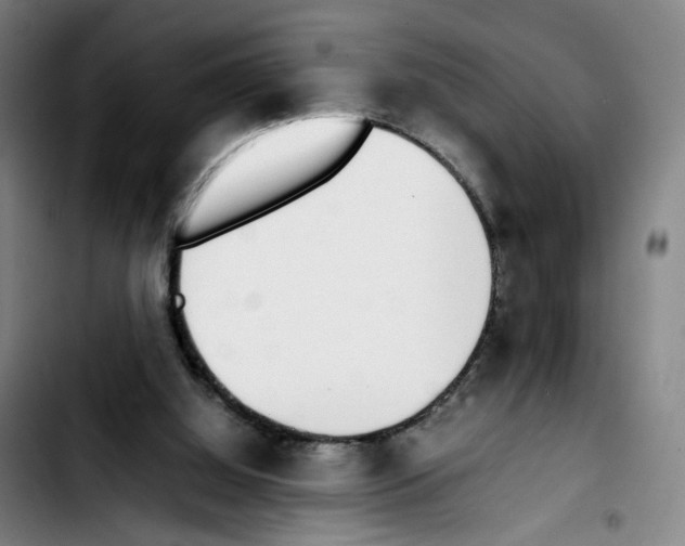 X0000103450060200810241154