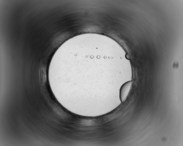 X0000103450061200810241155