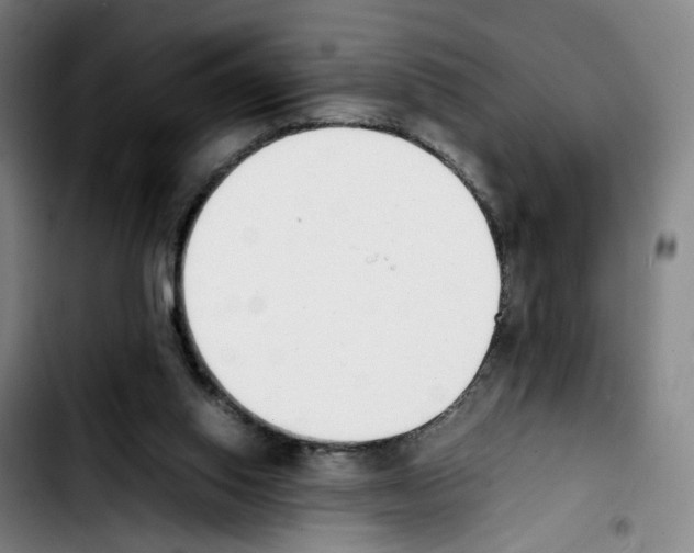 X0000103450062200810241155