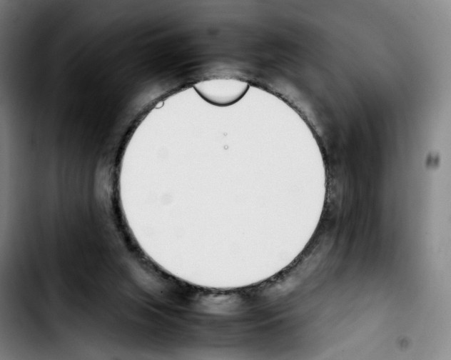 X0000103450063200810241155