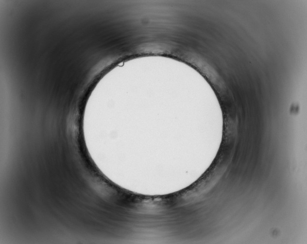 X0000103450064200810241155