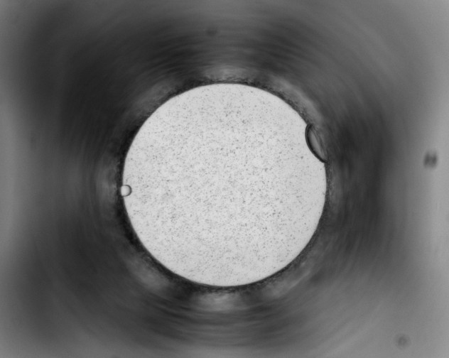 X0000103450065200810241155