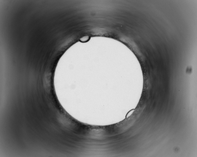 X0000103450066200810241155