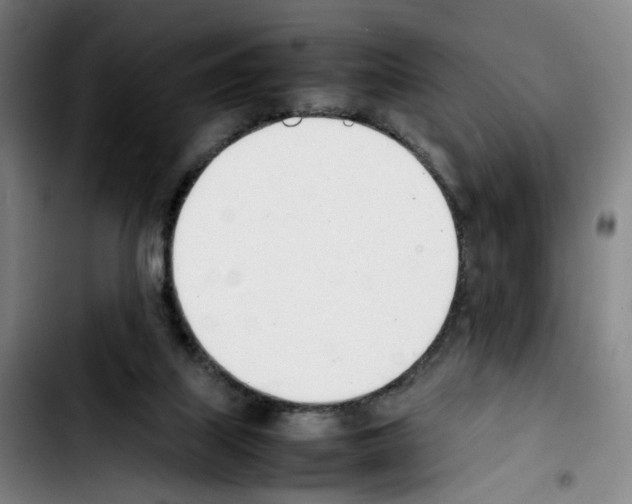 X0000103450067200810241155