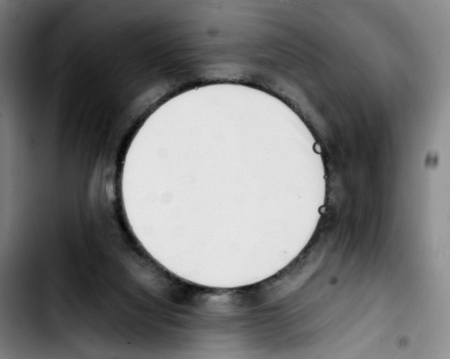 X0000103450068200810241155