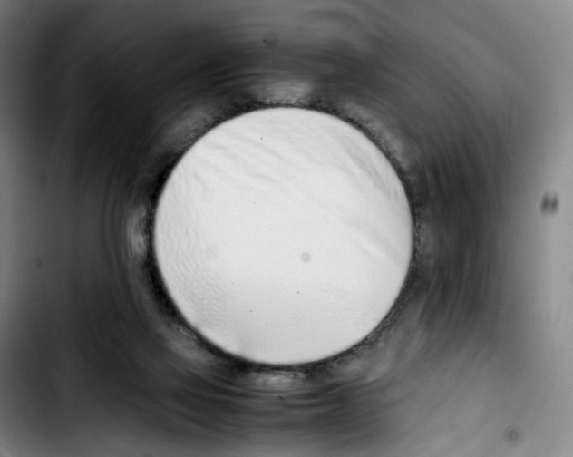 X0000103450069200810241155