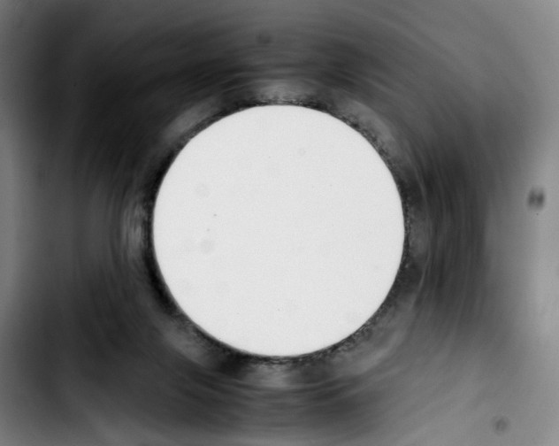 X0000103450071200810241155