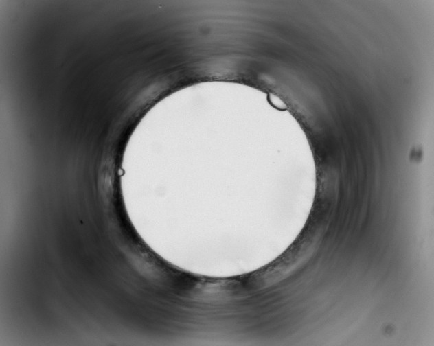 X0000103450072200810241155