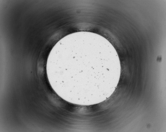 X0000103450074200810241155