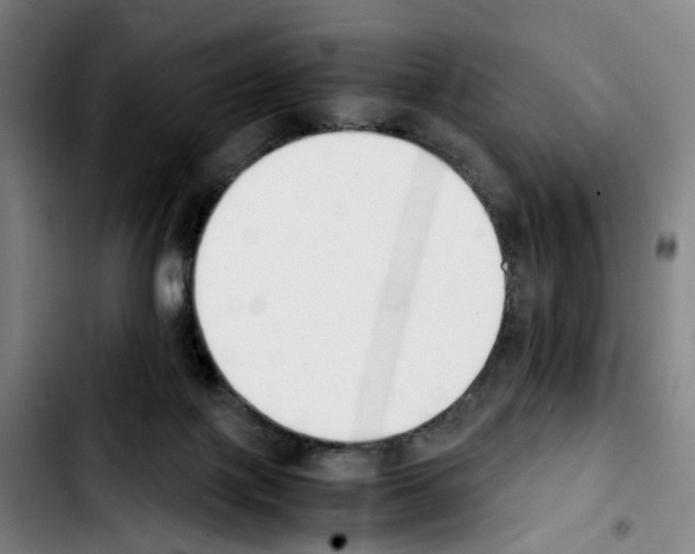 X0000103450075200810241155