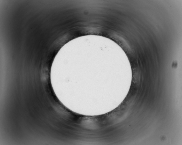 X0000103450077200810241155