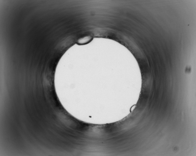 X0000103450078200810241155