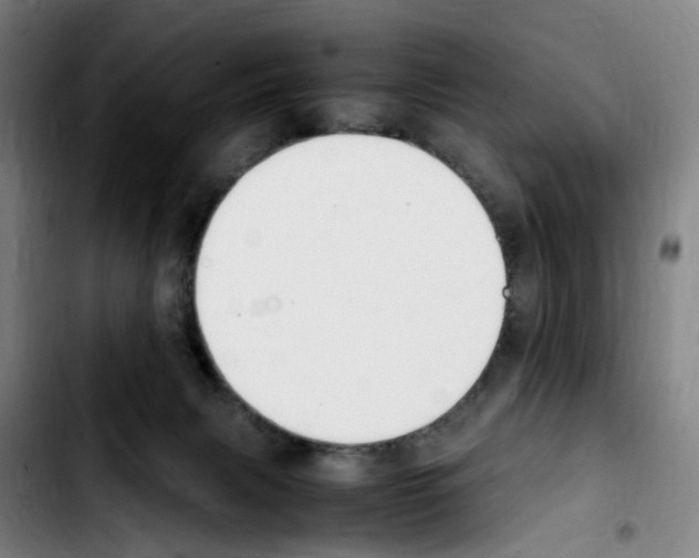 X0000103450079200810241155