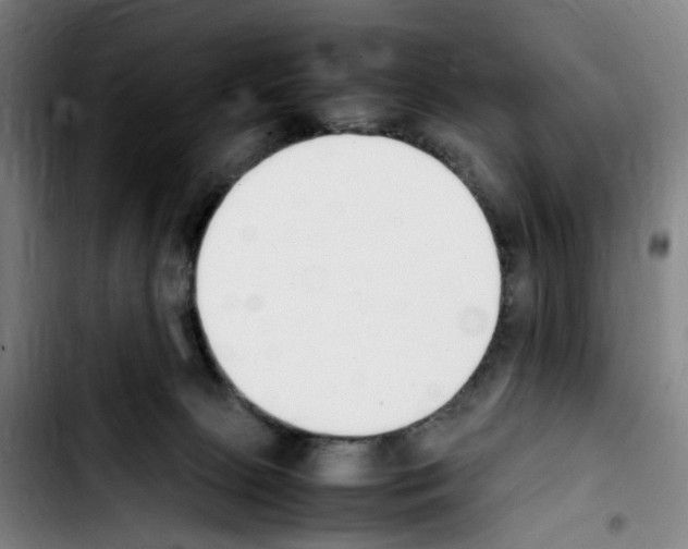 X0000103450081200810241155