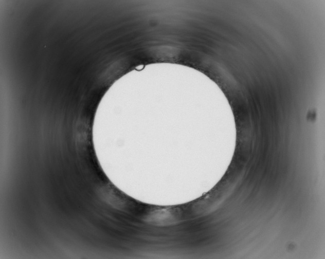 X0000103450083200810241155