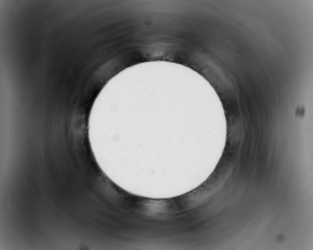 X0000103450085200810241155