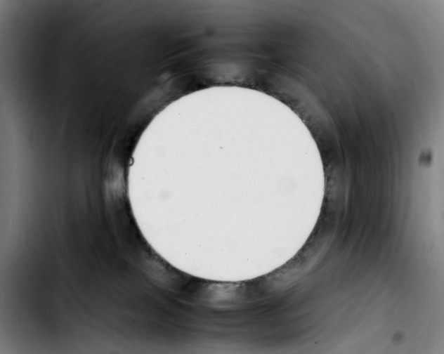 X0000103450089200810241155