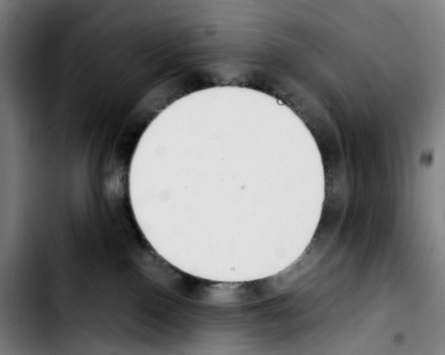 X0000103450090200810241155