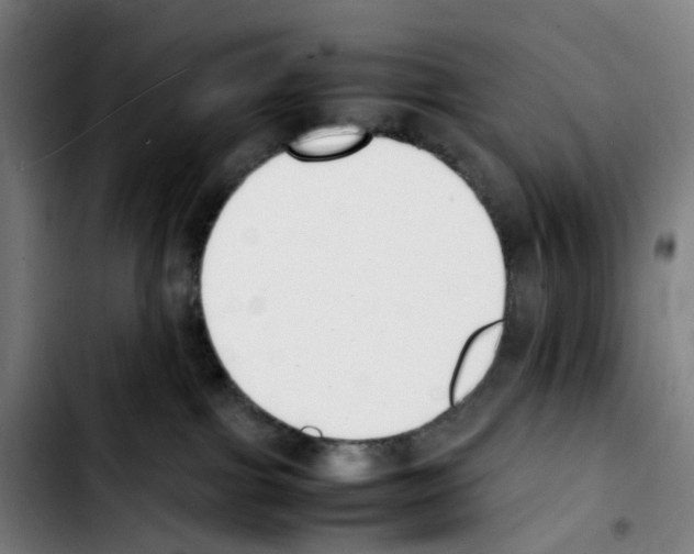 X0000103450091200810241155