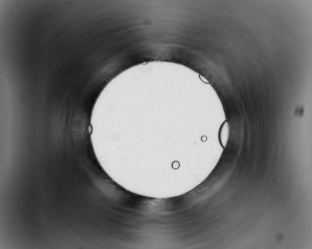 X0000103450092200810241155