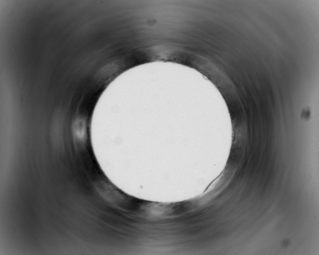 X0000103450094200810241155