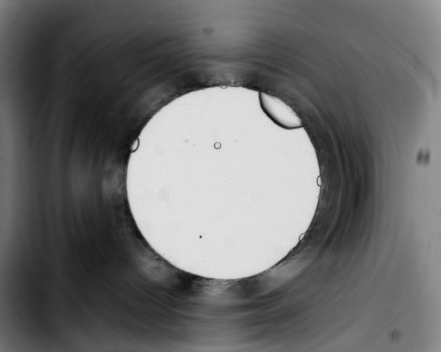 X0000103450096200810241155