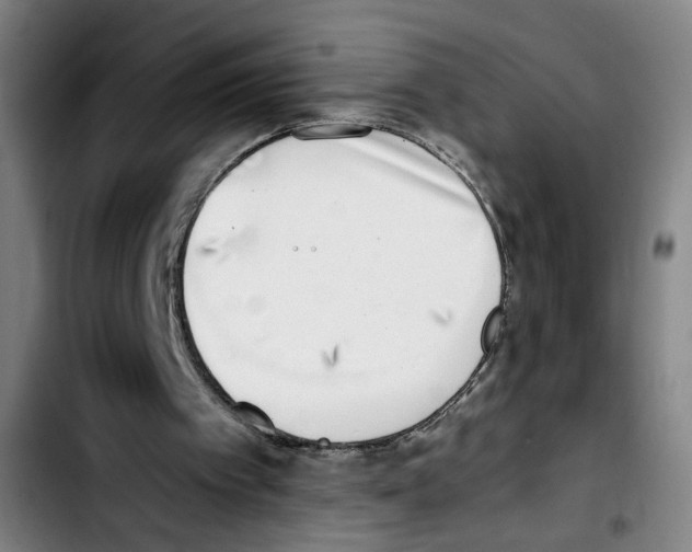 X0000103450097200810241154