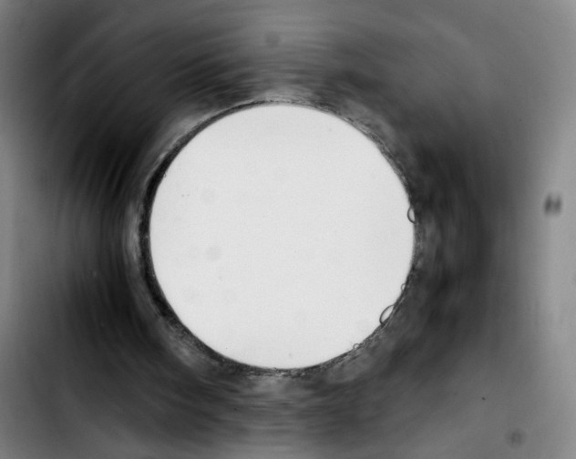 X0000103450098200810241154