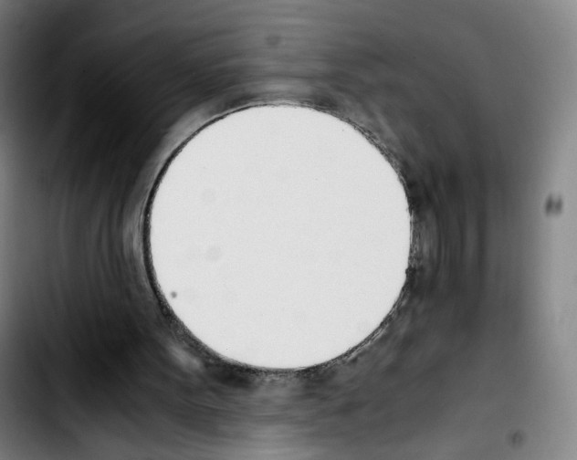 X0000103450099200810241154