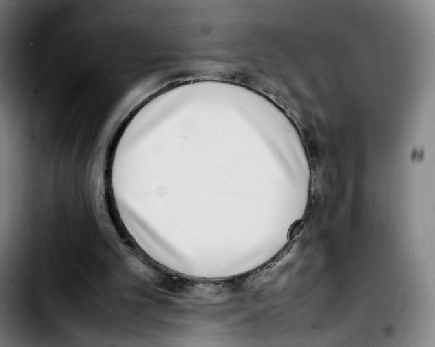 X0000103450101200810241154