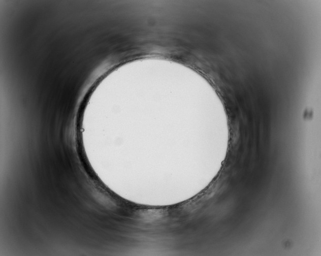 X0000103450102200810241154