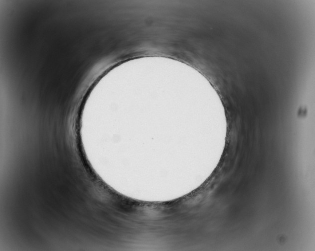 X0000103450103200810241154